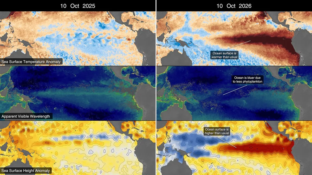 Imagem de satélite do oceano Pacífico com indicadores de temperaturas e nível do mar